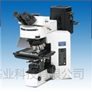 上海系统显微镜BX51TR-32000-2 | 系统显微镜 | BX51TR-32000-2标准配置